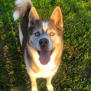 Meet your Posher, Chloe